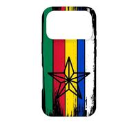 Druze flag, Al Muwahhidun, Druzen star symbol flag druze Case for iPhone 17 Pro