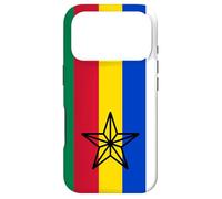 Druzen Flag Druzen in Syria Israel Druze Star Druzen Case for iPhone 17 Pro