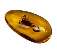 DRXRD Insect Amber Specimen, Resin Real Bugs Taxidermy Fossil, Artificial Amber Stone Ornament, for Science Education and Collection Scorpion