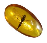 DRXRD Insect Amber Specimen, Resin Real Bugs Taxidermy Fossil, Artificial Amber Stone Ornament, for Science Education and Collection Dragonfly
