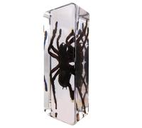 DRXRD Specimen in Resin, Transparent Bug Taxidermy, Amber Insect Decor, for Science Classroom Science Education, Collection and Paperweights Spider