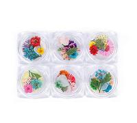 Dry Flower Nail Art, Real Flowers for Nails, 3D Nails Stickers with Nature Dry Flowers in Mix and Match