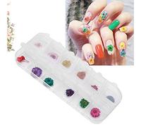 Dry Flowers For Nails, 12 Colors Dried Flower Real Flowers Nail Decals DIY Nail Art Decoration Accessories Nail Flowers Mini Dried Flowers For Women DIY Nail Accessories (Type D)