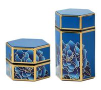 Dry Storage Tinplate 2pcs Caddy Box Hexagonal Retro Tea Pot Kitchen Storage Containers Loose Leaf Tea Tin Containers for Coffee Sugar Spices