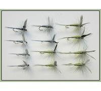 Dry Trout flies, 12 Pack Olive & Blue Dun, Mixed Size 12/14/16, For Fly Fishing, Choice