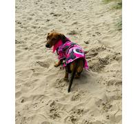 DRYBONES Waterproof Dog Coat - Pink Fizz - Medium