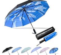 DryDay Travel Umbrellas for Rain - Large Windproof Double Canopy Umbrella, 10 Durable Ribs, Strong Frame, Auto Open Close Ergonomic Handle, Compact Waterproof Umbrella for Women & Men, Blue Sky, 46