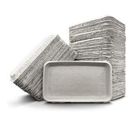 DryFox Pulp Disposable Tray 230mm x 135mm | 100 Pack | Ideal for Medical Instruments, Bedside Patient Support, Medicinal Hygiene Control, First Aid Applications
