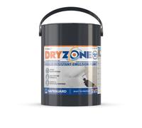 Dryzone Anti Mould Paint White 5L - 5 Years Resistant Against Black Mould Growth On Walls And Ceiling. 50M² - 60M² Coverage