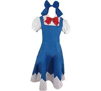 Drzhacos Cosplay Costume for The Embodiment of Scarlet Devil Cirno