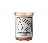 D.S. & DURGA Big Sur after Rain Candle