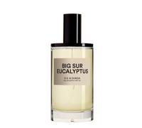 DS & Durga Big Sur Eucalyptus Eau de Parfum 100ml