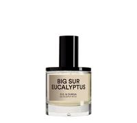 DS & Durga Durga Big Sur Eucalyptus Eau de Parfum 50ml