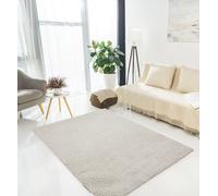 Cloud Luxe Soft High-Pile Rug - Thick Plush Modern Area Carpet for Living Room, Bedroom or Lounge - Non-Slip, Cozy Texture - 150x210cm Silver