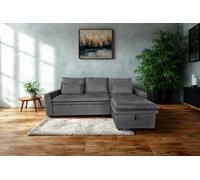 DS Living Lucca 3 Seater Storage Sofa in Grey or Silver DS Living Grey