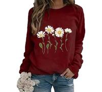 DSAoTeng Womens Sweatshirt 3D Daisy Print Jumper Flower Pattern Long Sleeve Pullover Casual Loose Tops (L,# 4)