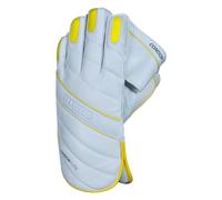 DSC Condor Flite Cricket Wicket Keeping Gloves Youth (Multicolour)