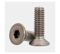 DSDBDNN 10-20pcs/lot M2 .5 M3 M4 M5 M6 DIN7991 Pure Titanium Hexagon Socket Countersunk/Flat Head Screw Ti Screws(6mm,M2.5 20pcs)