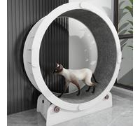 Dsejynxx cat wheel for indoor catsCat treadmill does not pinch the feet roller ring pet cat exercise fitness small anti-stuck feet running wheel(Color:3)