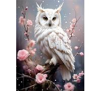 DSFEFV DIY Owl Paint by Numbers for Adults,Painting by Number Kits on Canvas,Color by Numbers for Beginner,Gifts Decor for Home Wall Room (White owl)