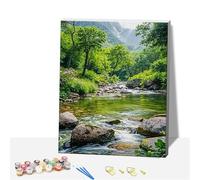 DSFEFV DIY Paint by Numbers for Adults,Wooden Framed Painting by Number Kits on Canvas,Acrylic Color by Numbers for Adult Beginner,Gifts Decor for Home Wall Room (Stream)