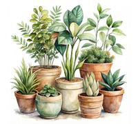 DSFEFV DIY Plant Paint by Number for Adults,Painting by Number Kits on Canvas,Color by Numbers for Adult Beginner,Gifts Decor for Home Wall Room (Plant)