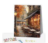 DSFEFV Paint by Numbers Kit for Adults,DIY Easy Painting Kits on Canvas with Wooden Framed, Small Color by Numbers Acrylic,Adult Paint by Number for Gifts,Home Wall Decor (Scenery 2)