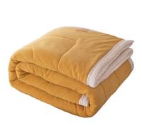 DSFHVBDD Plush Blanket Soft Fleece Blanket Warm Throw Blanket Cozy Couch Blanket Lightweight Bed Blanket Fluffy All Season Comfort, Perfect for Sofa Lounging, Bedroom And Daily Use