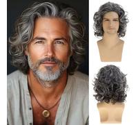 Dsimeig Men's Short Curly Wavy Wig Mixed Grey Fluffy Cosplay Costume Hair