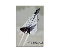 DSJXJZ Military F-14 Fighter Jet Aircraft Poster Decorative Painting Canvas Wall Posters And Modern Family Bedroom Decor 08x12inch(20x30cm)