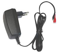 DSK 6876 bc-6500 - 6 V Charger for battery Lead Automatic, Black