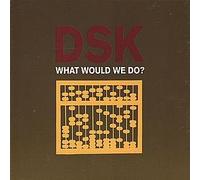 Dsk - What Would We Do (Cd2) [CD 2]