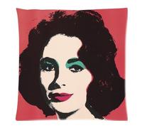 DSL&HXY Andy Warhol Pop Art Actress Elizabeth Taylor Custom Zippered Pillow Cases 18x18 (Twin sides)