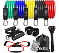 DSL Resistance Bands Set, 14 Piece Home Gym Kit | Gym Bands with Workout Poster & Door Anchor & Ankle Straps for Fitness, Strength, Yoga, Home Gym Equipment for Men Women