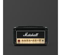 DSL1 Amp head with lower power perfect to play at home