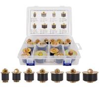 Dsnaduo 16pcs 7 Sizes Automotive Expandable Freeze Plugs Kit,Rubber Expansion Plug, Fit Hole Size:3/4" 7/8" 1" 1-1/8" 1-1/4" 1-3/8" 1-1/2" (19mm~41mm)