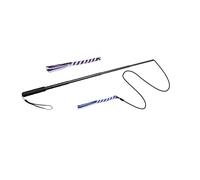 DSOUWEH Retractable Dogs Teaser Wand And Chew Toys For Outdoor Chasing And Obedience Training Promote Mutual Communication With Lovely Dogs. Outside