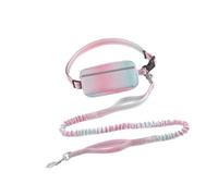 DSOUWEH Running Dog Leash With Glowing Reflective Stitching Is Visible In