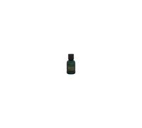 Dsquared2 - Green Wood EDT Miniature5ml