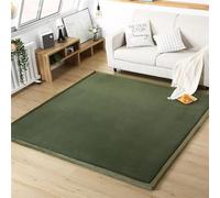 DSSHENGDS Coral Velvet Rug for Bedroom Dormitory Yoga,Home Decor for Living Room,Educational Classroom Nursery Bedroom Crawling Mat Non-slip Rug 2cm-Q- 150 * 150cm