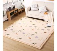 DSSHENGDS Coral Velvet Rug for Bedroom Dormitory Yoga,Home Decor for Living Room,Educational Classroom Nursery Bedroom Crawling Mat Non-slip Rug 2cm-D- 120 * 150cm