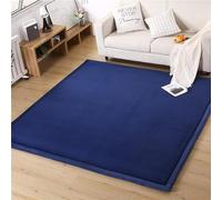 DSSHENGDS Coral Velvet Rug for Bedroom Dormitory Yoga,Home Decor for Living Room,Educational Classroom Nursery Bedroom Crawling Mat Non-slip Rug 2cm-N- 80 * 180cm