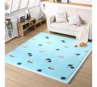 DSSHENGDS Coral Velvet Rug for Bedroom Dormitory Yoga,Home Decor for Living Room,Educational Classroom Nursery Bedroom Crawling Mat Non-slip Rug 2cm-G- 120 * 120cm