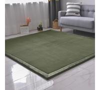 DSSHENGDS Coral Velvet Rug for Bedroom Dormitory Yoga,Home Decor for Living Room,Educational Classroom Nursery Bedroom Crawling Mat Non-slip Rug 2cm-G- 200 * 200cm