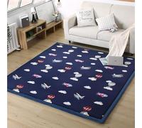 DSSHENGDS Coral Velvet Rug for Bedroom Dormitory Yoga,Home Decor for Living Room,Educational Classroom Nursery Bedroom Crawling Mat Non-slip Rug 2cm-I- 80 * 180cm