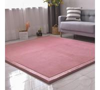 DSSHENGDS Coral Velvet Rug for Bedroom Dormitory Yoga,Home Decor for Living Room,Educational Classroom Nursery Bedroom Crawling Mat Non-slip Rug 2cm-I- 100 * 240cm