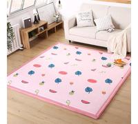 DSSHENGDS Coral Velvet Rug for Bedroom Dormitory Yoga,Home Decor for Living Room,Educational Classroom Nursery Bedroom Crawling Mat Non-slip Rug 2cm-C- 200 * 220cm