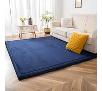 DSSHENGDS Living Room Home Decor Coral Fleece Area Rug,Modern Nursery Washable Kids Bedroom Rug,Girls Boys Soft Non-slip Soft Mat,2cm Thick Kids Carpet-C- 100 * 240cm