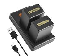 DSTE 2PCS NP-FH100 Battery Charger Set Compatible for Sony DCR-DVD405,DCR-DVD406,DCR-DVD407E,DCR-DVD408,DCR-DVD450