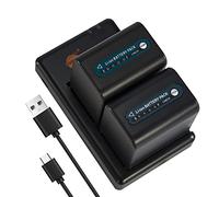 DSTE 2PCS NP-QM91D Battery Charger Set Compatible for Sony CCD-TRV308, CCD-TRV328, DCR-DVD100
